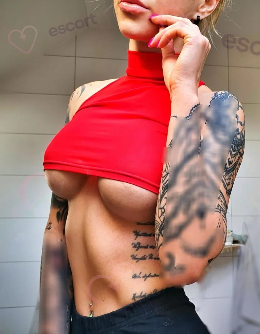 SUKA LIVECAM - zdjęcie profilowe