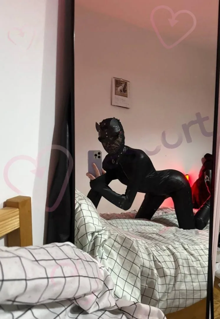 Kobieta Kot - zdjęcie profilowe