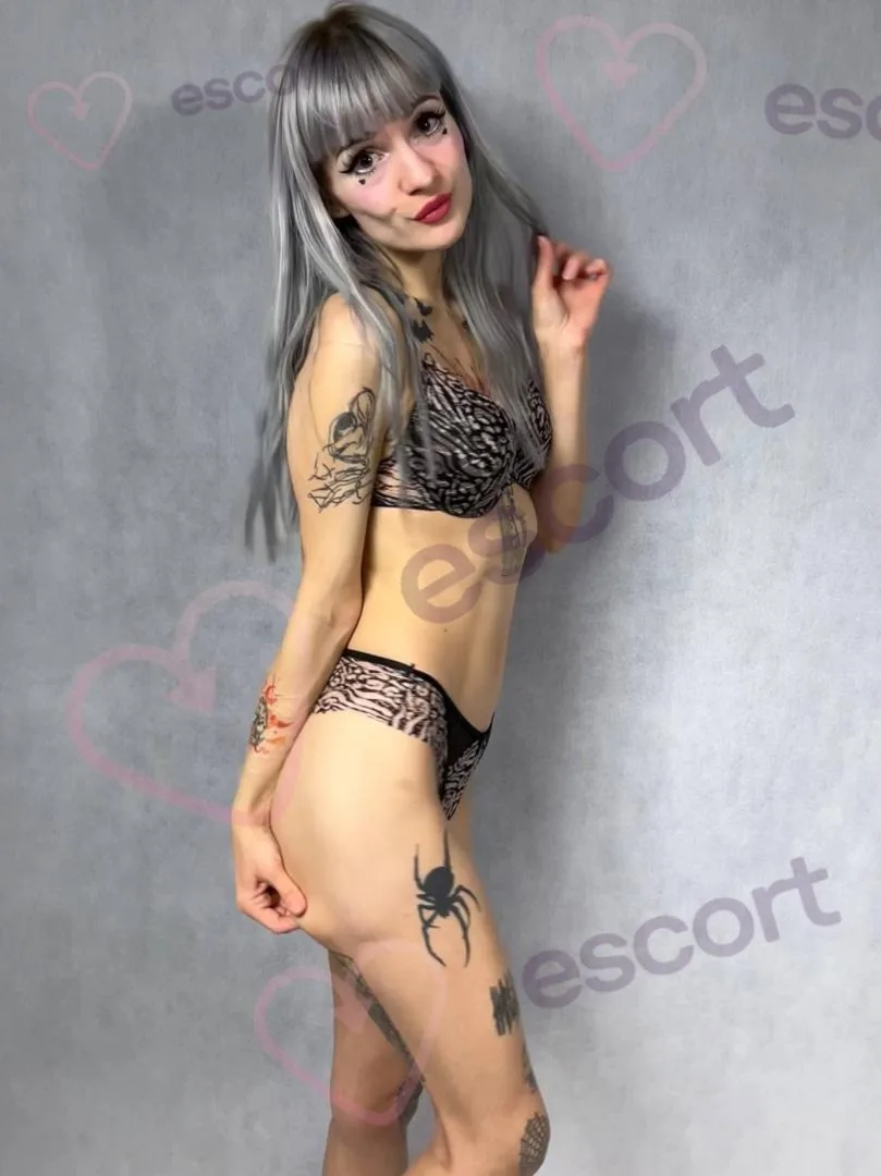Kocica - zdjęcie profilowe