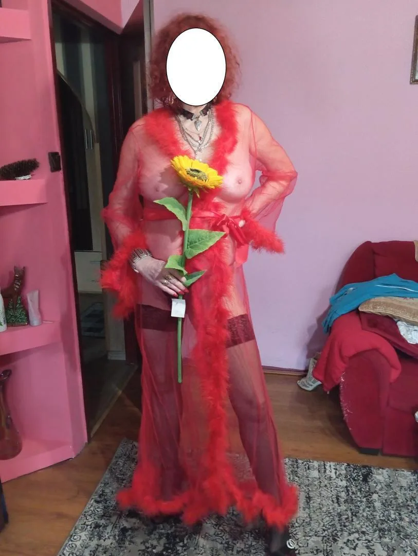 Domina Krystyna - zdjęcie 2, Rybnik