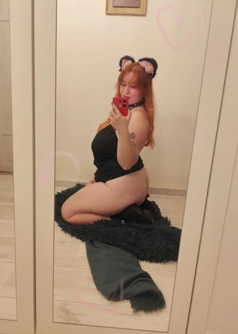 WOLFIE RED FOX OFFICIAL - zdjęcie 5