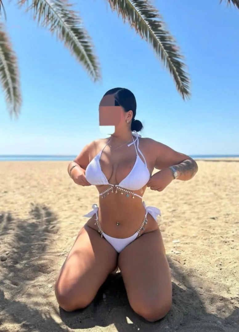 Sandra latina - zdjęcie 5, Kraków