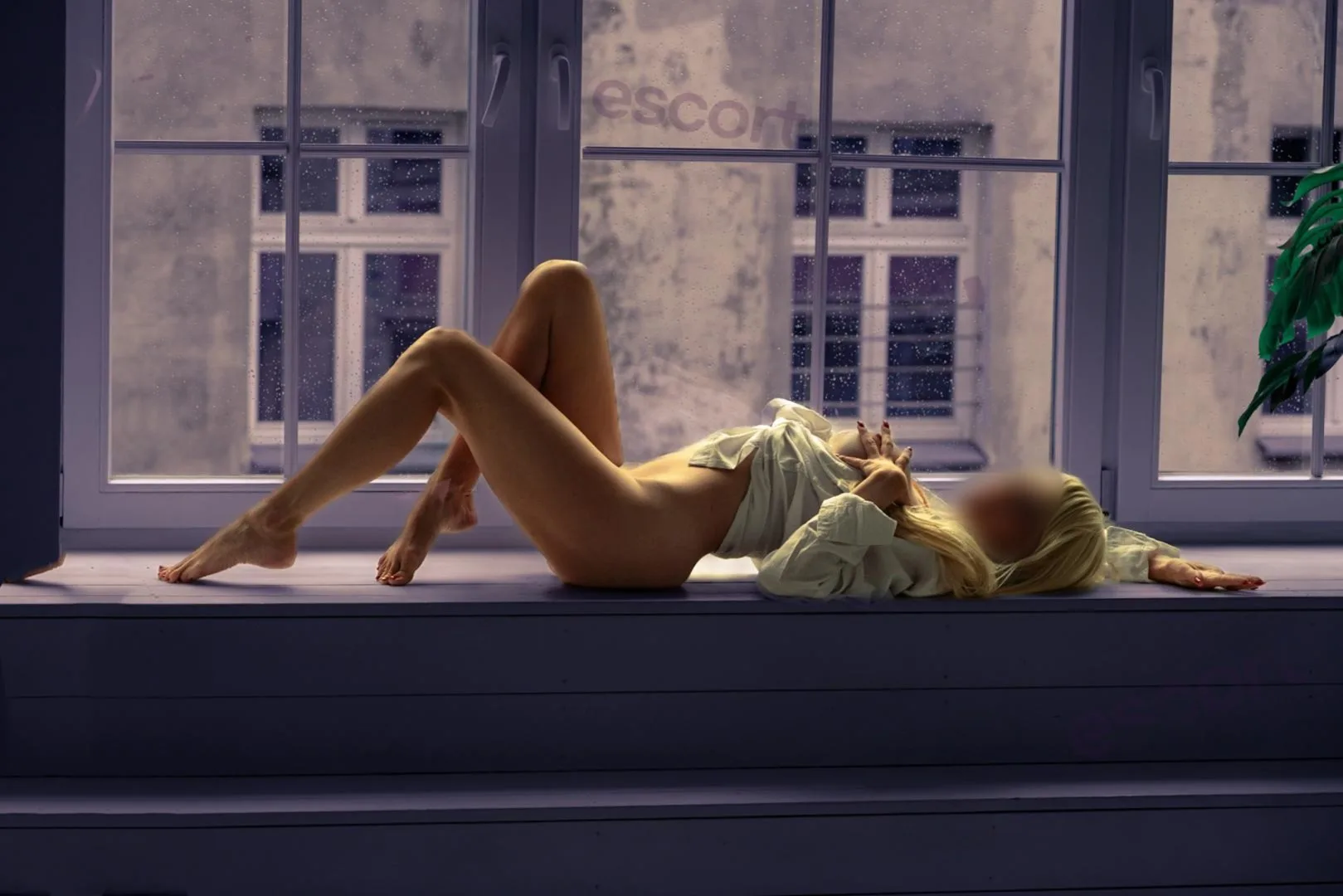Seksowna VIP - zdjęcie profilowe, Bydgoszcz