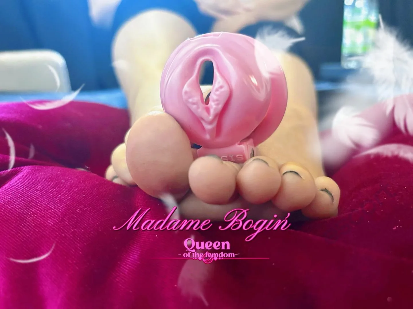MADAME BOGIŃ - zdjęcie 3, Warszawa