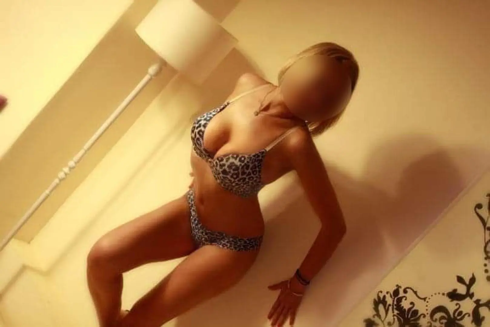Bogaty Serwis - zdjęcie profilowe, Elbląg