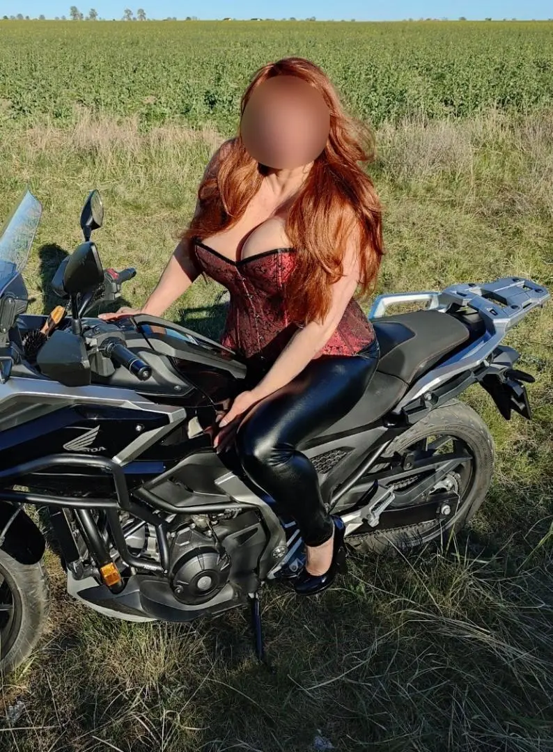 Monisia - zdjęcie 4, Bolków