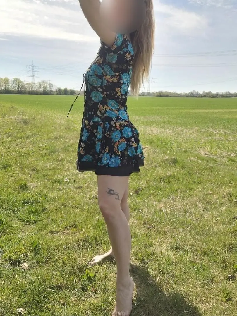 Landi - zdjęcie 2, Tarnowskie Góry