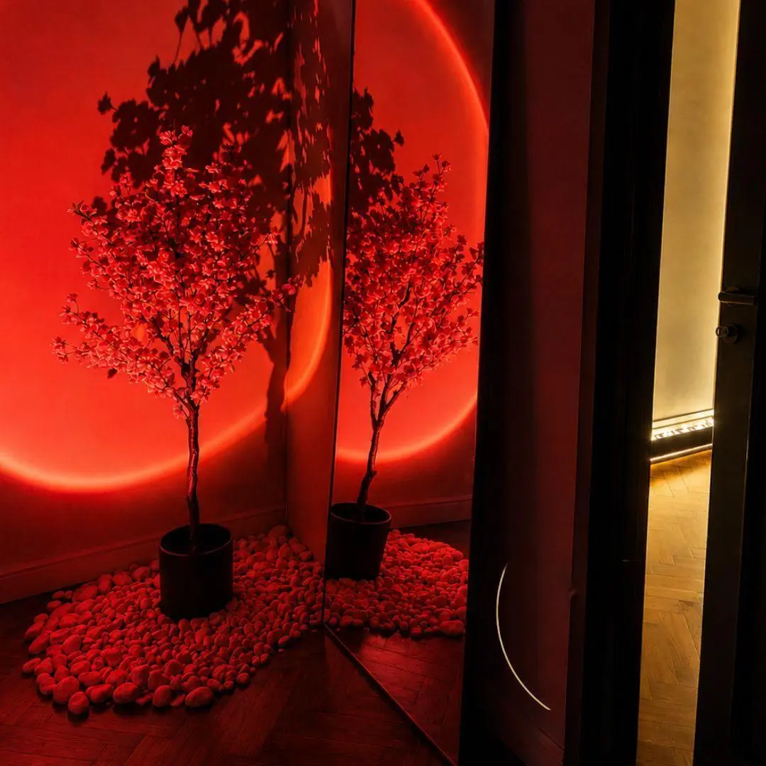 Velvet Garden Massage Kraków - zdjęcie 3, Kraków