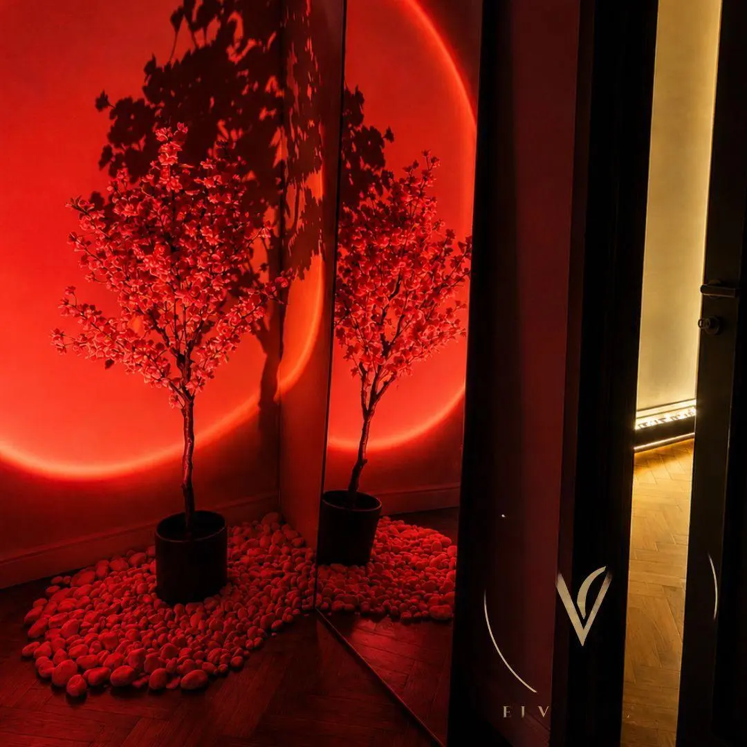 Velvet Garden Massage Kraków - zdjęcie 4, Kraków