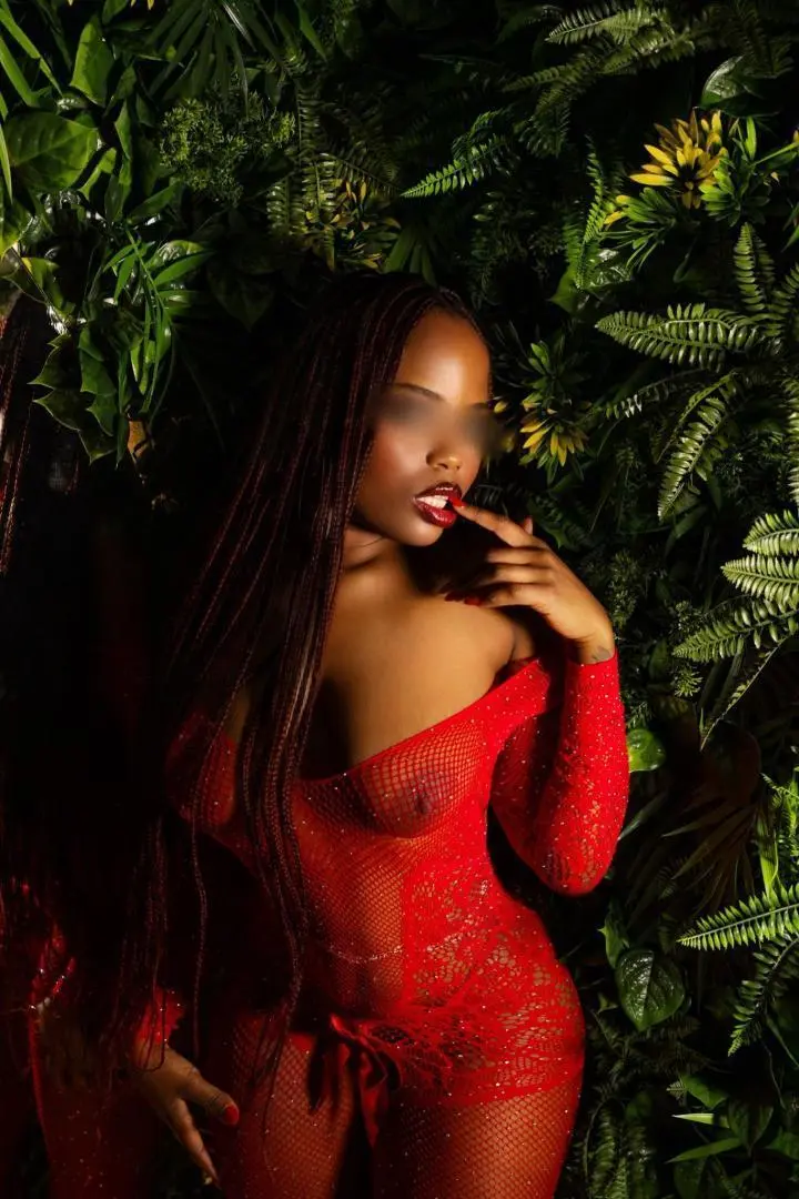 ALISHA HOT CHOCOLATE - zdjęcie profilowe, Warszawa
